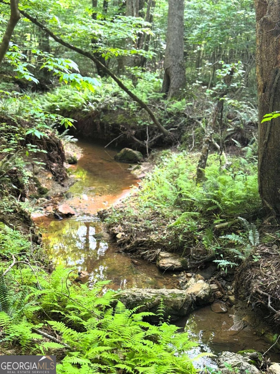 188 Macedonia Road White - 57