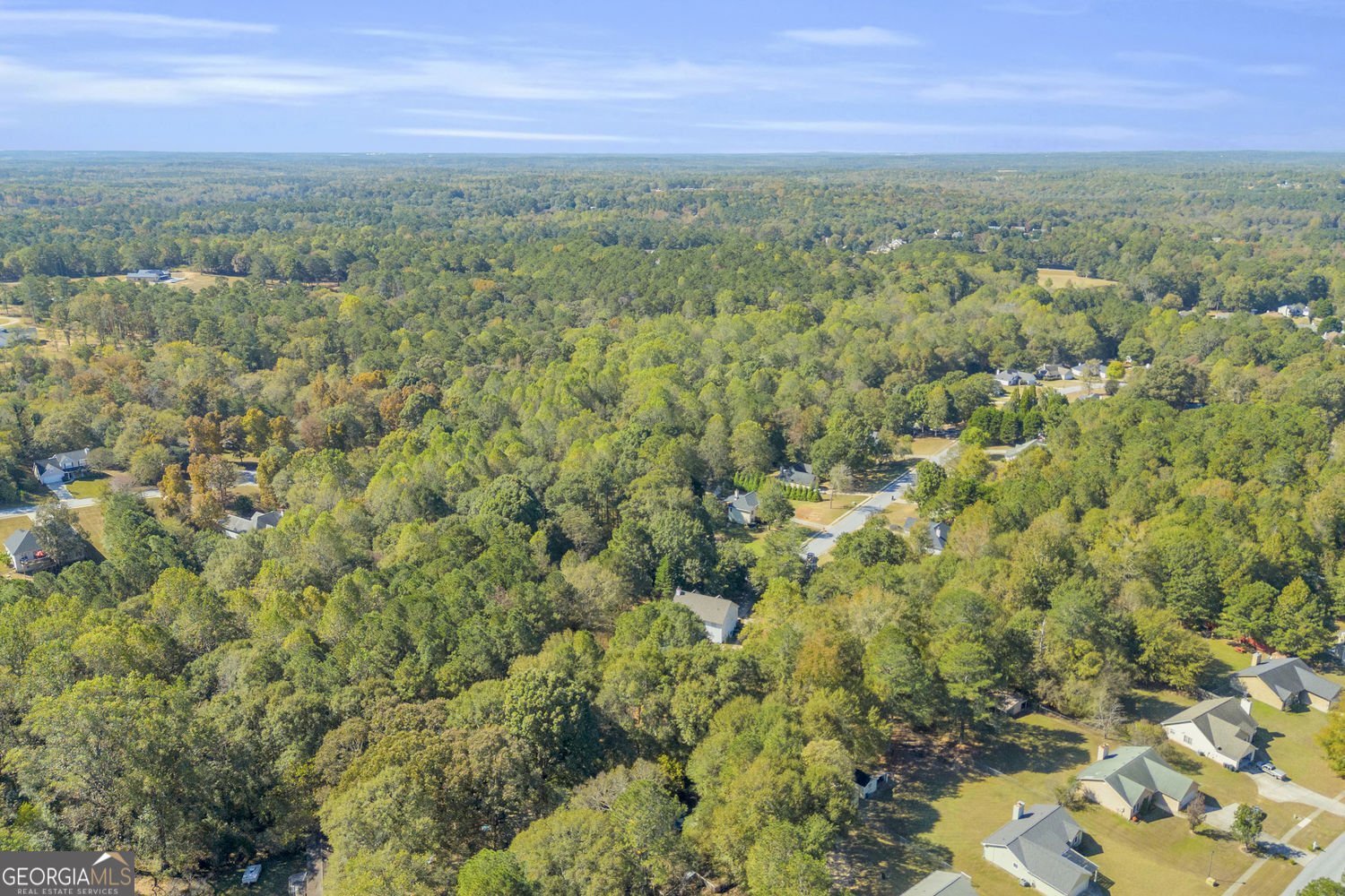 652 Magnolia Drive Loganville - 13