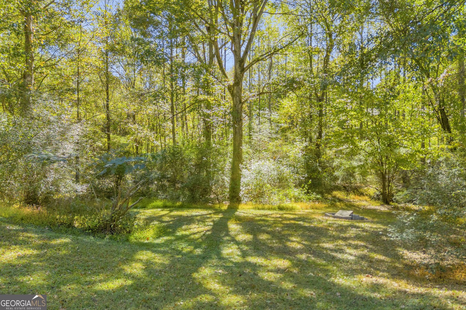 652 Magnolia Drive Loganville - 16