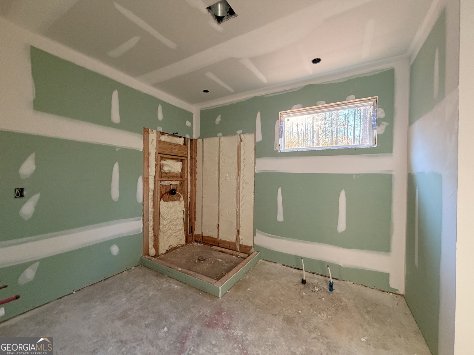 3197 Old Lifsey Springs Road Molena - 10