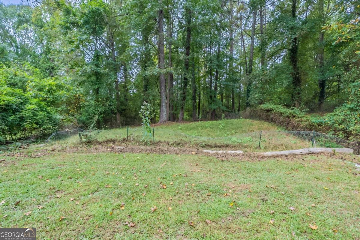 137 Springvalley Circle Stockbridge - 15