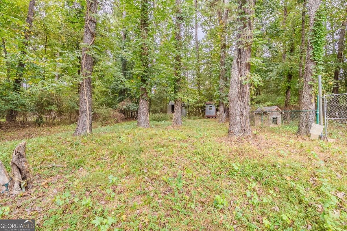 153 Springvalley Circle Stockbridge - 4