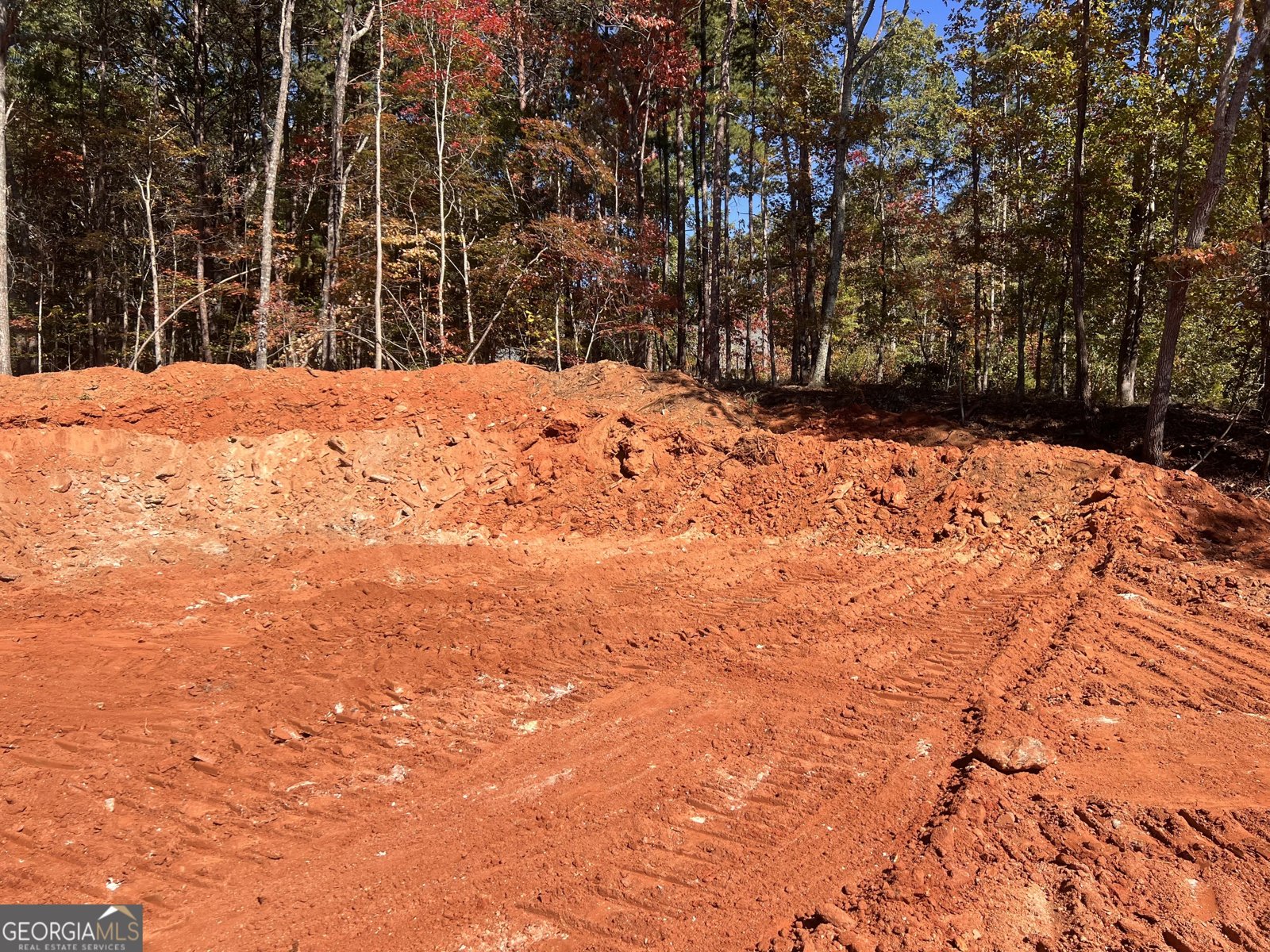206 Shoals Way Clarkesville - 3
