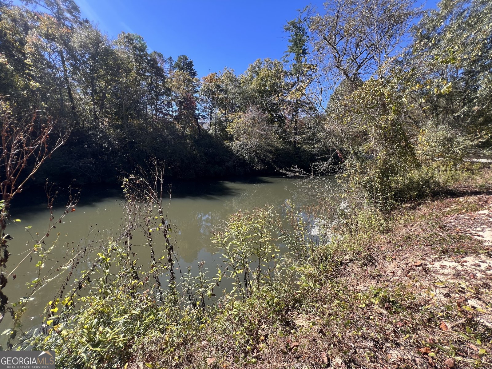 206 Shoals Way Clarkesville - 4
