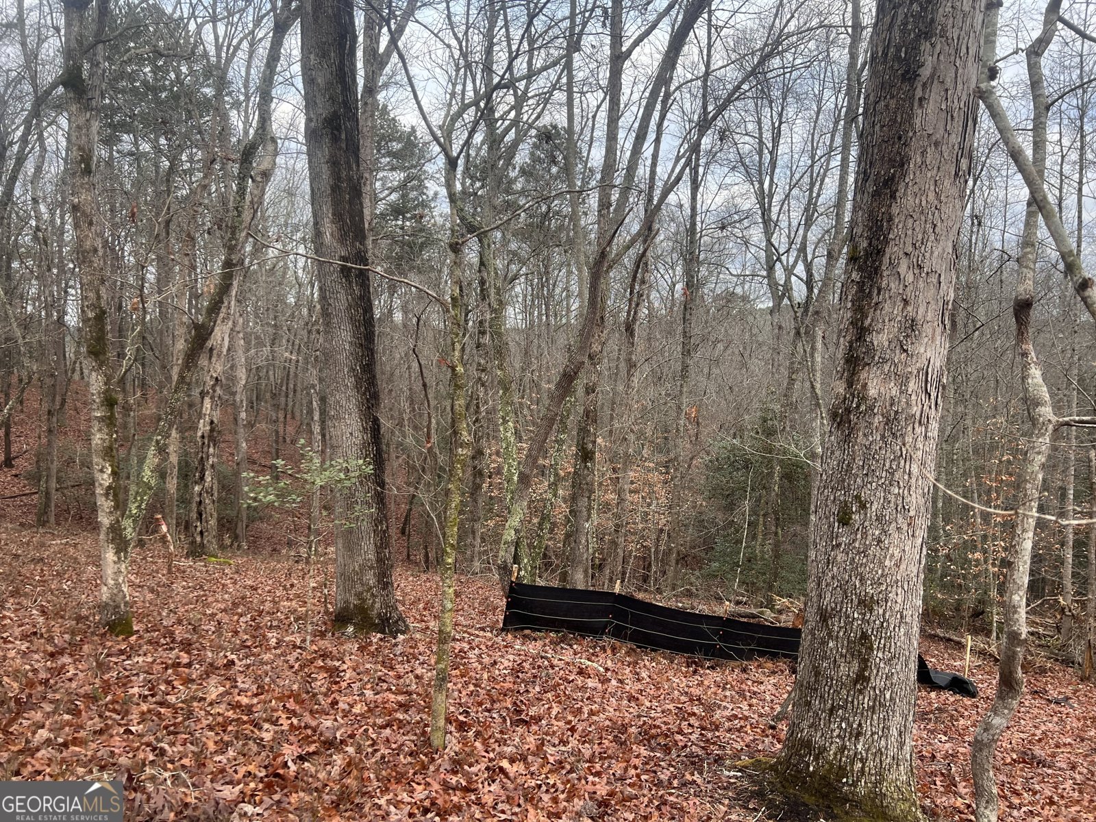 329 Twisting Ridge Trail Demorest - Photo 26