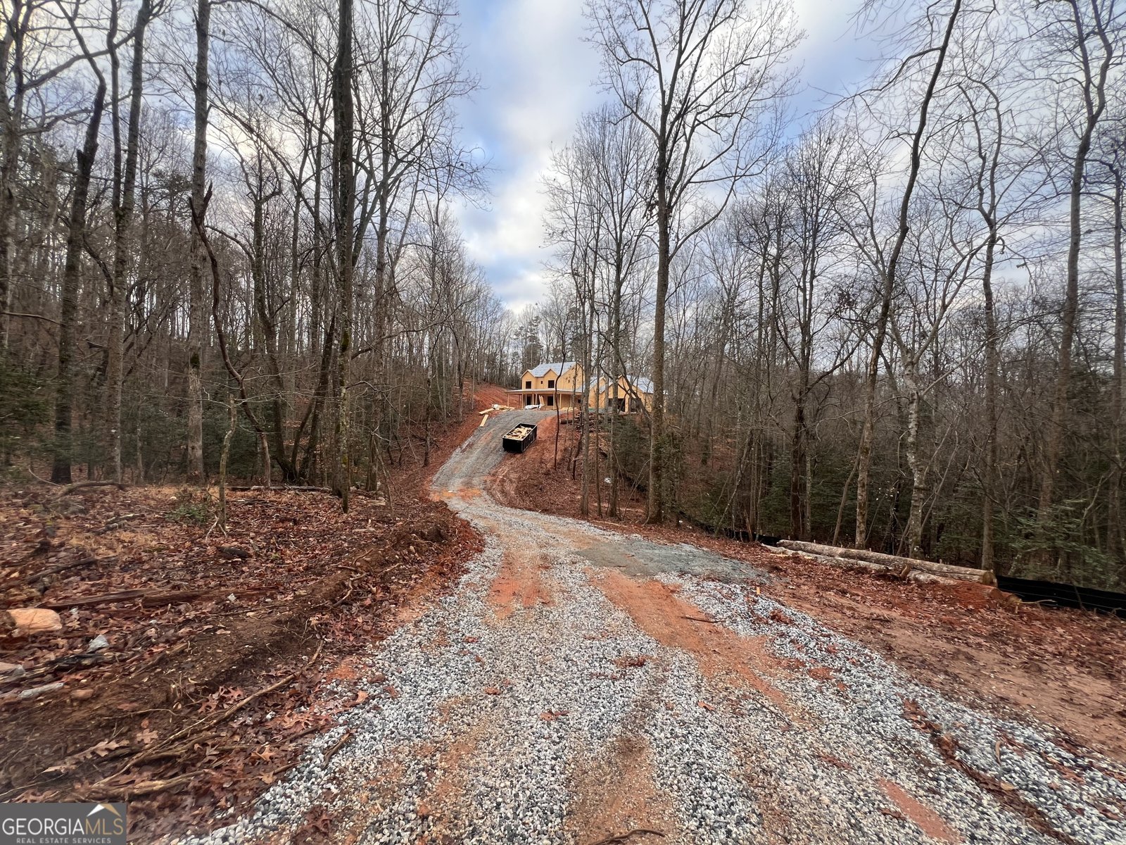329 Twisting Ridge Trail Demorest - Photo 28