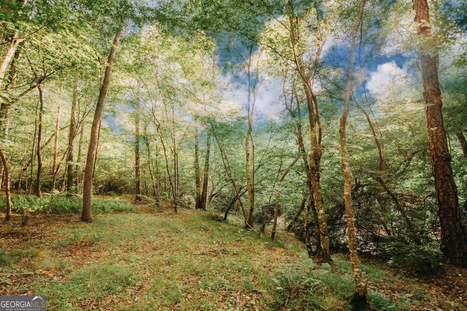 329 Twisting Ridge Trail Demorest - Photo 30