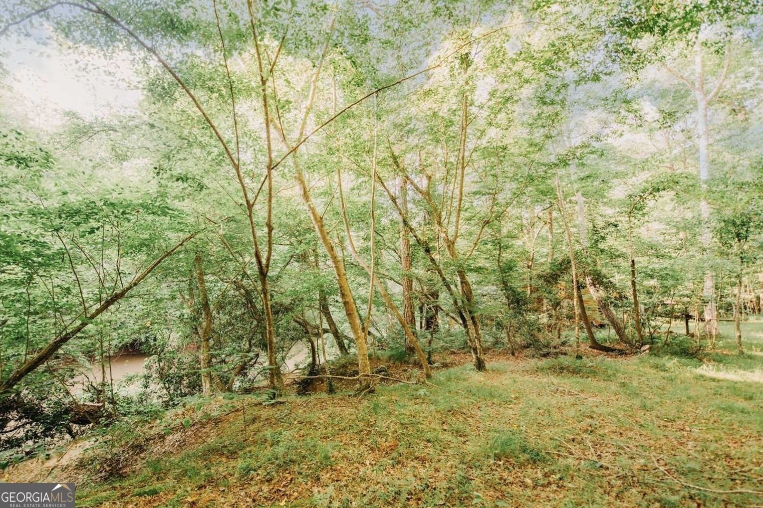 329 Twisting Ridge Trail Demorest - Photo 36