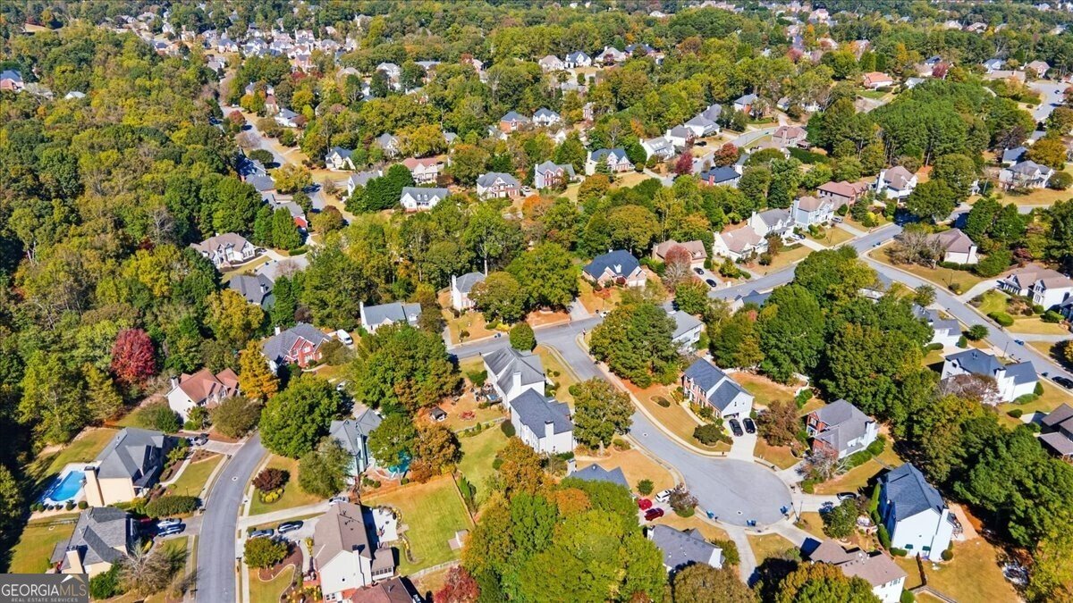 3222 Green Farm Trail Dacula - 88