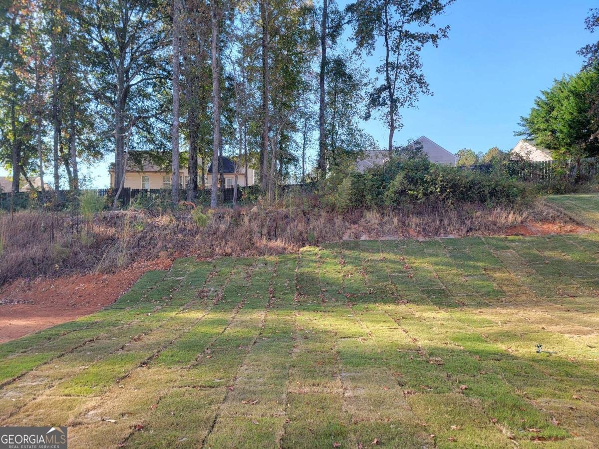 362 Silverleaf Trail Bethlehem - 18