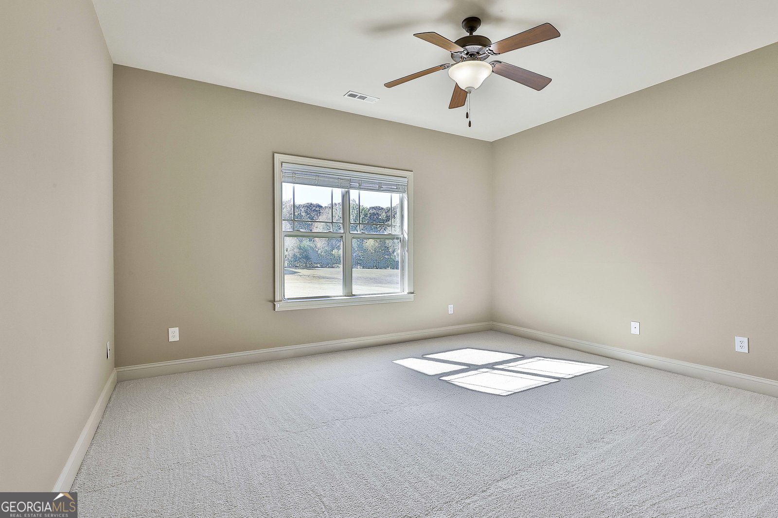 18 Lake View Court Senoia - 18