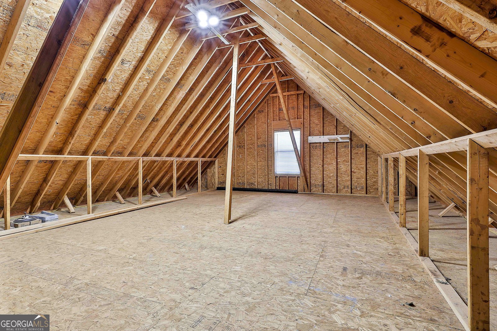 18 Lake View Court Senoia - 41