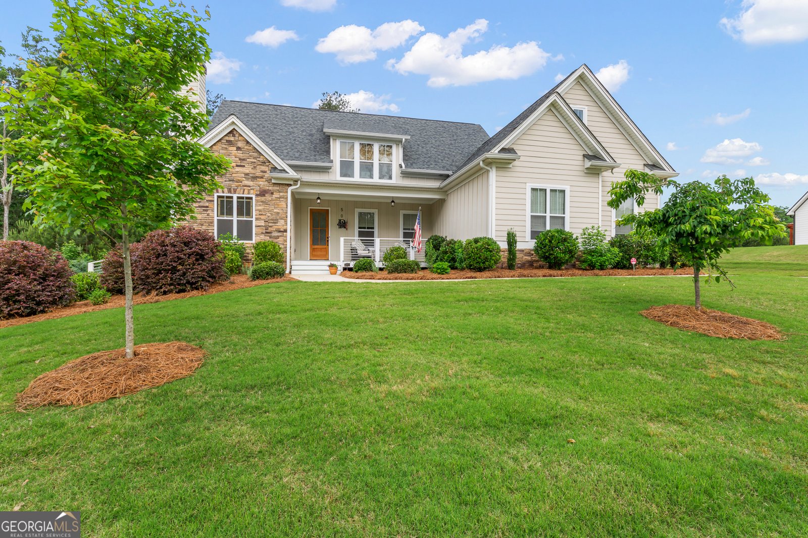 50 Emery Nell Lane Newnan - 3