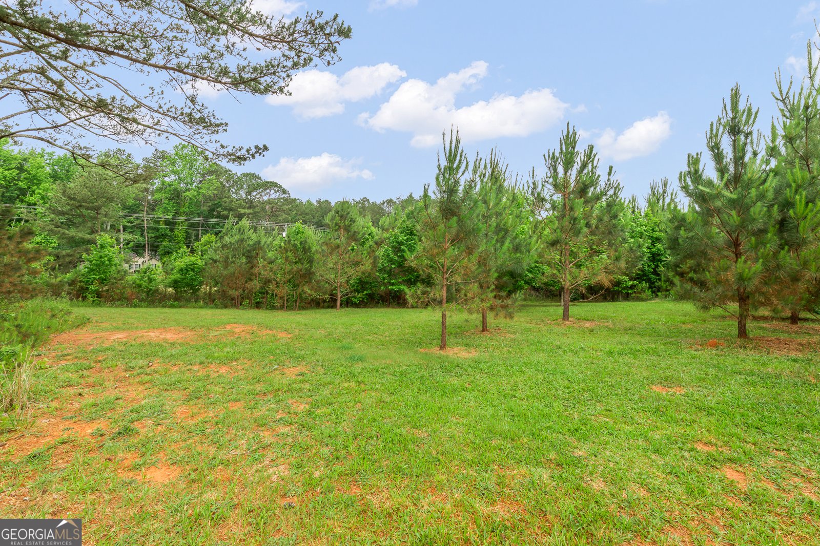 50 Emery Nell Lane Newnan - 54