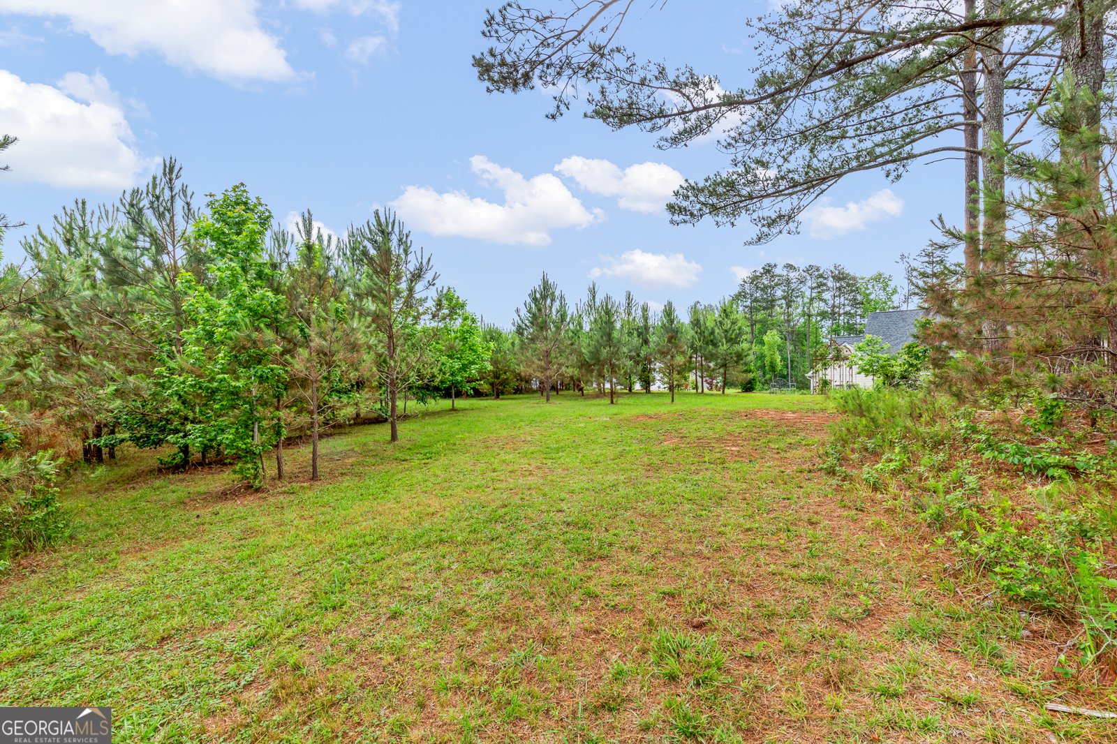 50 Emery Nell Lane Newnan - 55