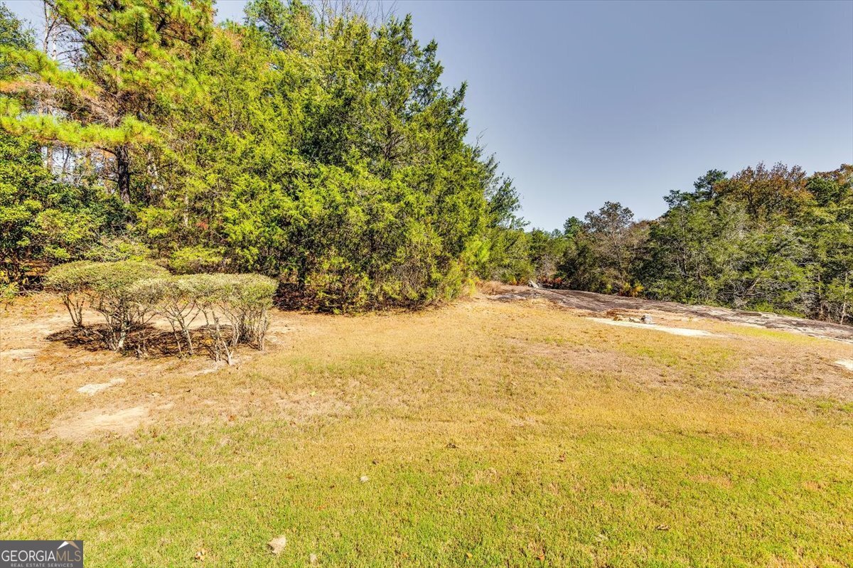 7256 Wheeler Trail Lithonia - 7