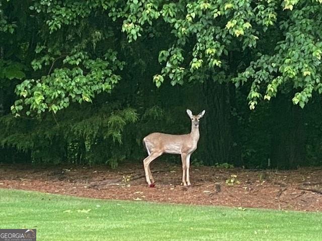 14250 Freemanville Road Milton - 58