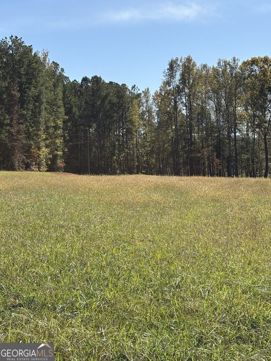 1174 Proctor Road Rockmart - 38