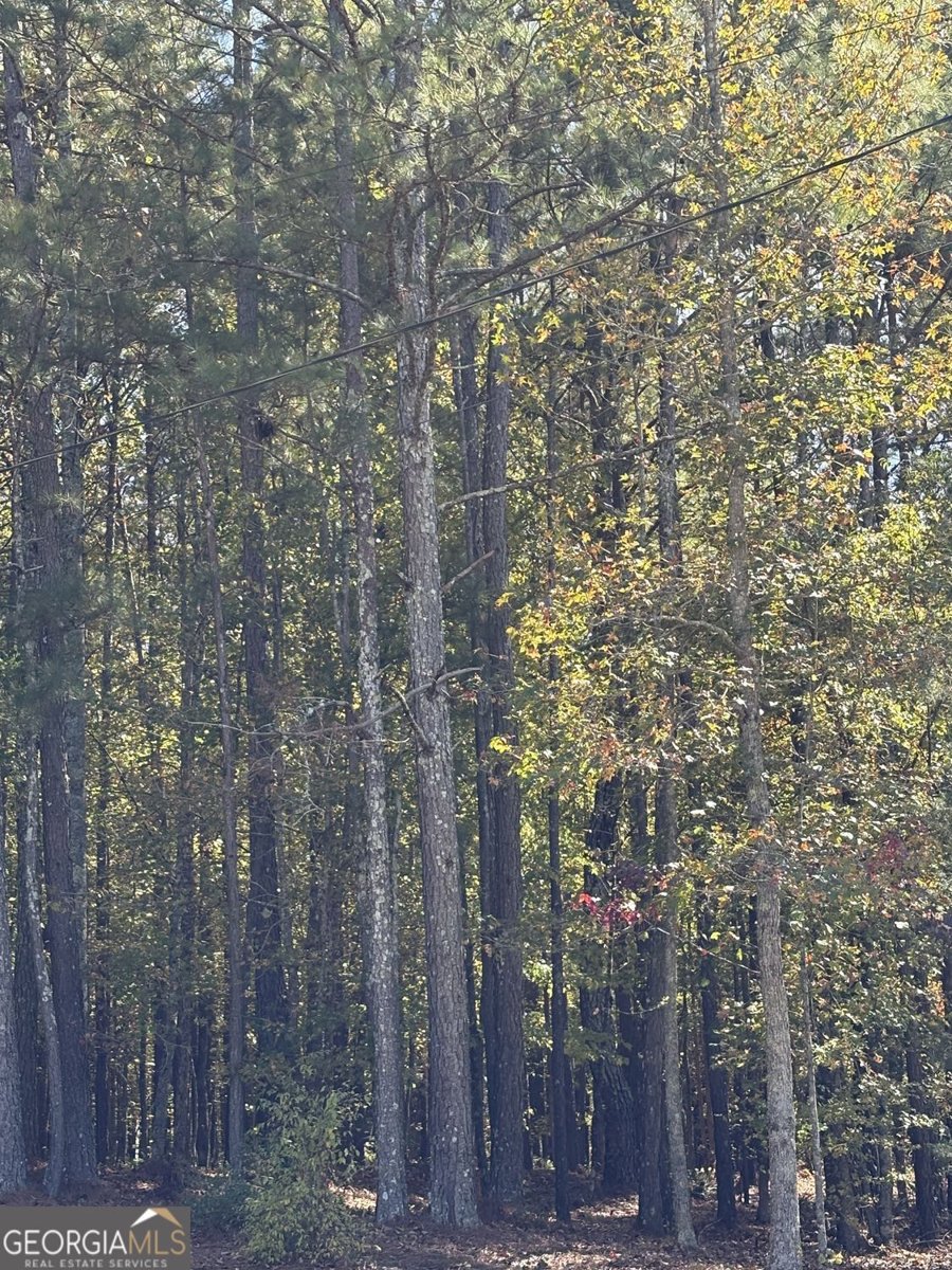 1174 Proctor Road Rockmart - 40