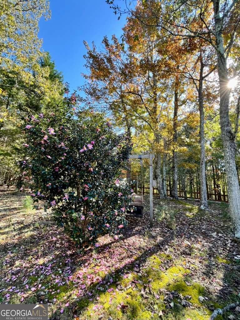 1036 Wards Creek Drive Dahlonega - 56