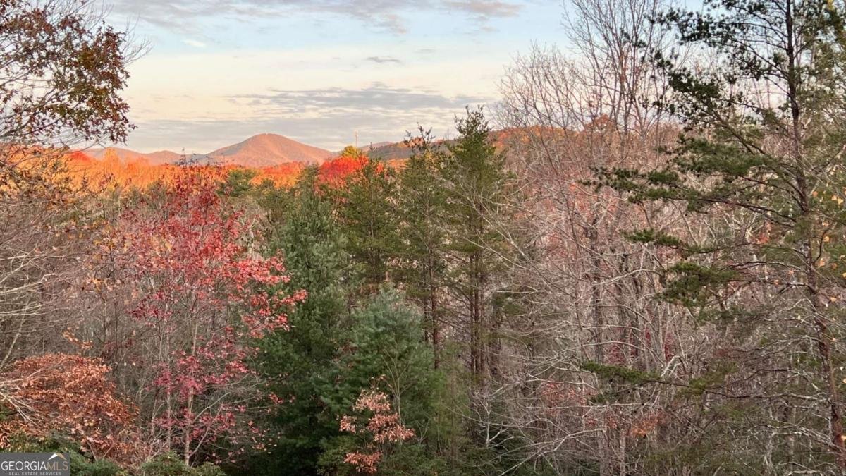 1036 Wards Creek Drive Dahlonega - 57