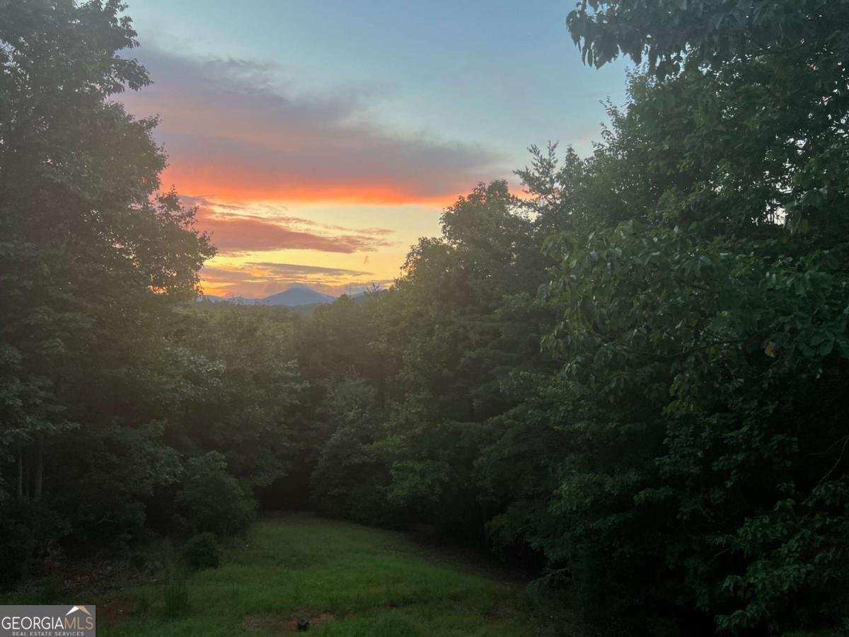 1036 Wards Creek Drive Dahlonega - 59