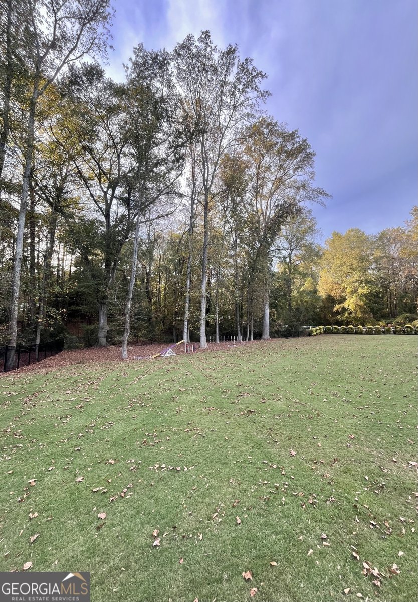 1010 Long Creek Drive Watkinsville - 44