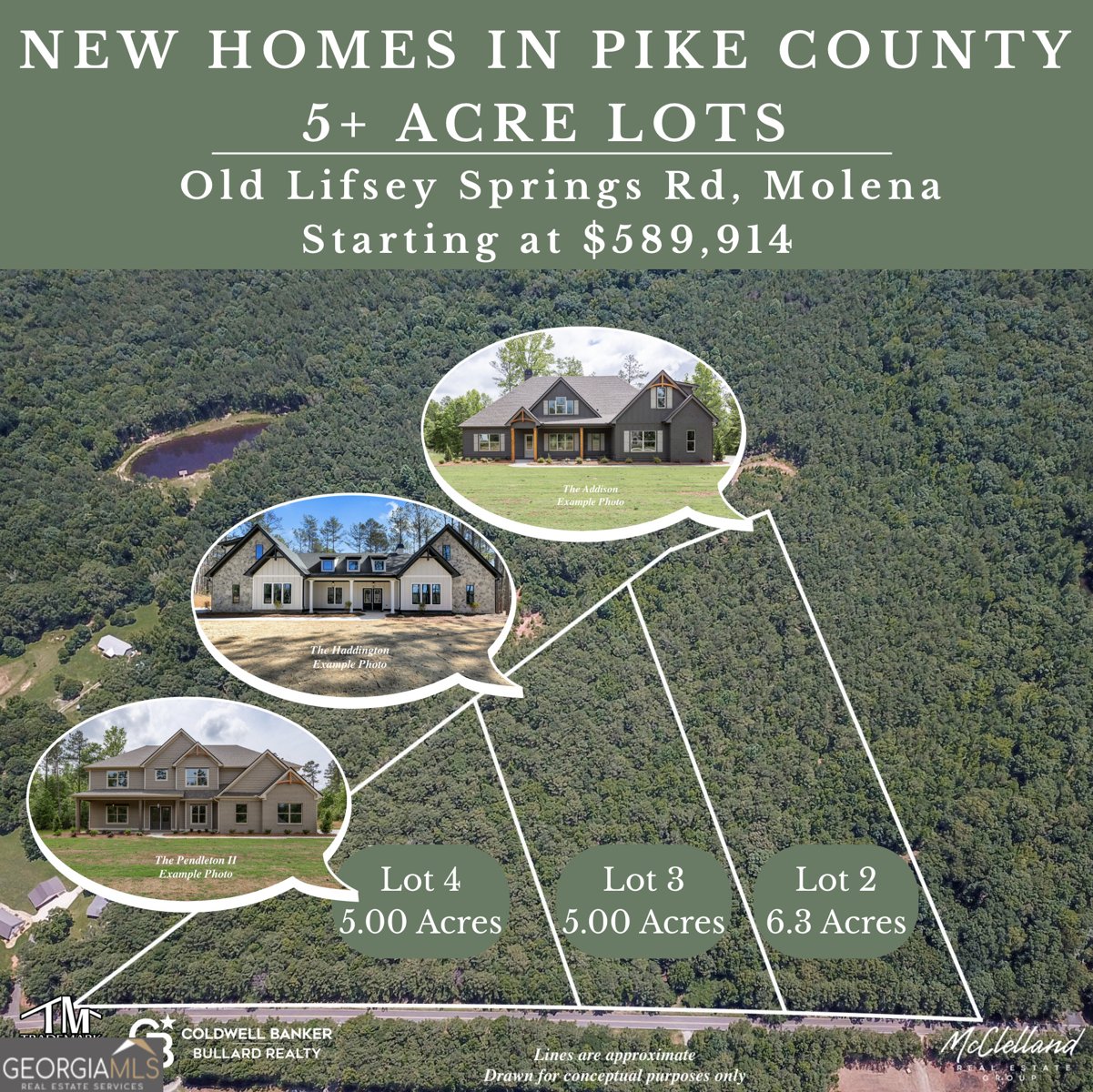 3115 Old Lifsey Springs Road Molena - 2