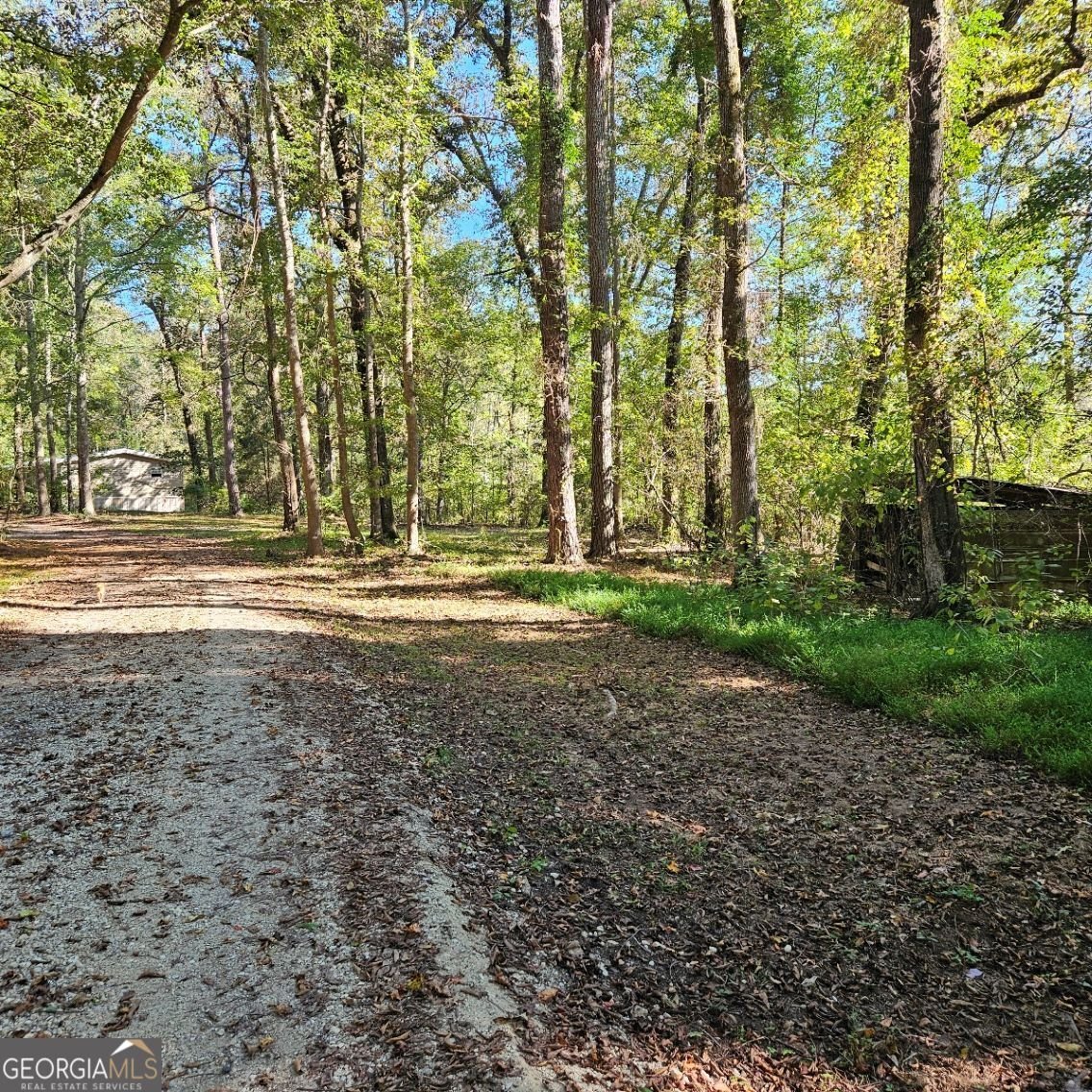 1196 Hendricks Road Fort Valley - 3