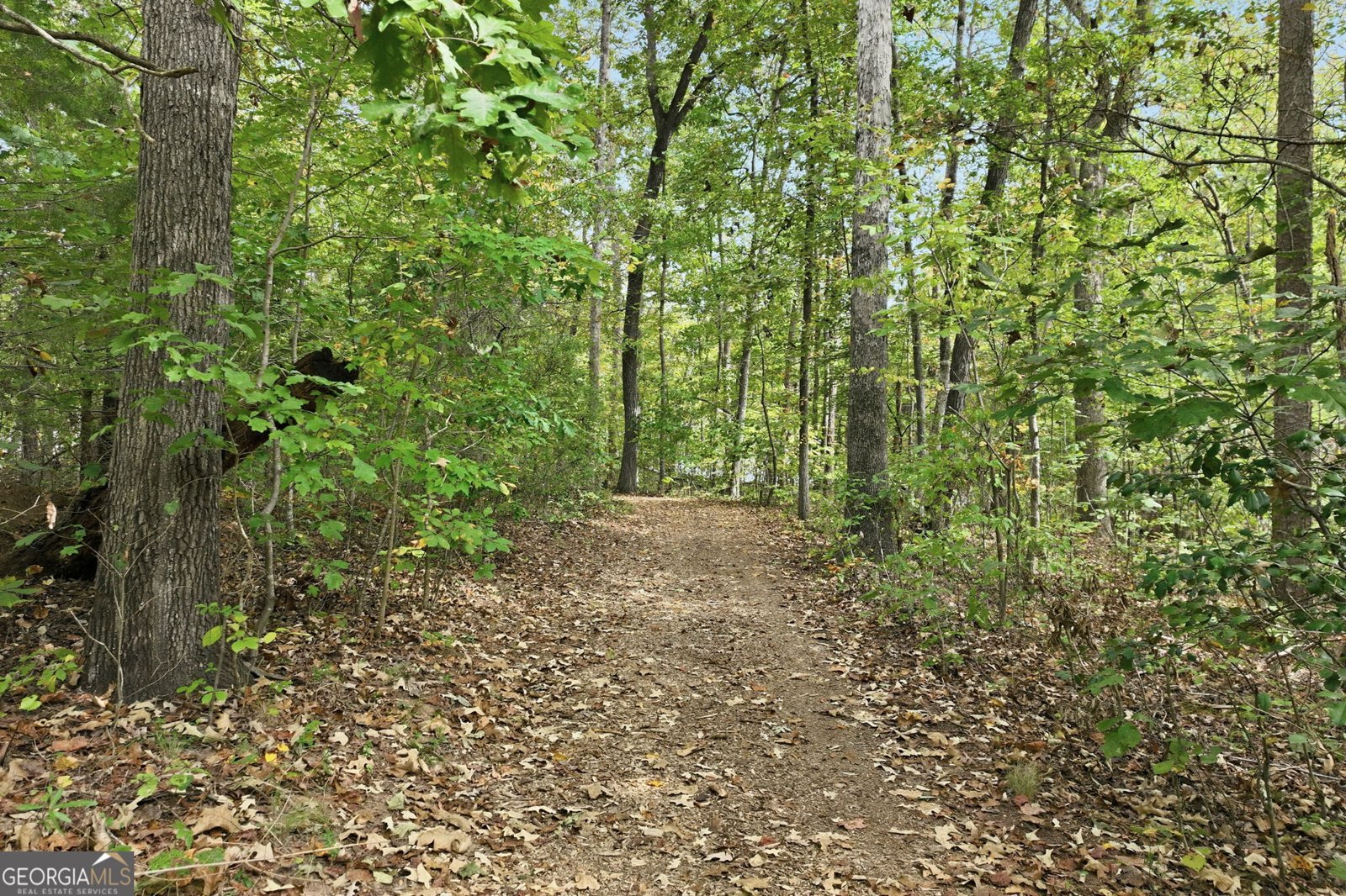 257 Lake Place Drive Lavonia - 19