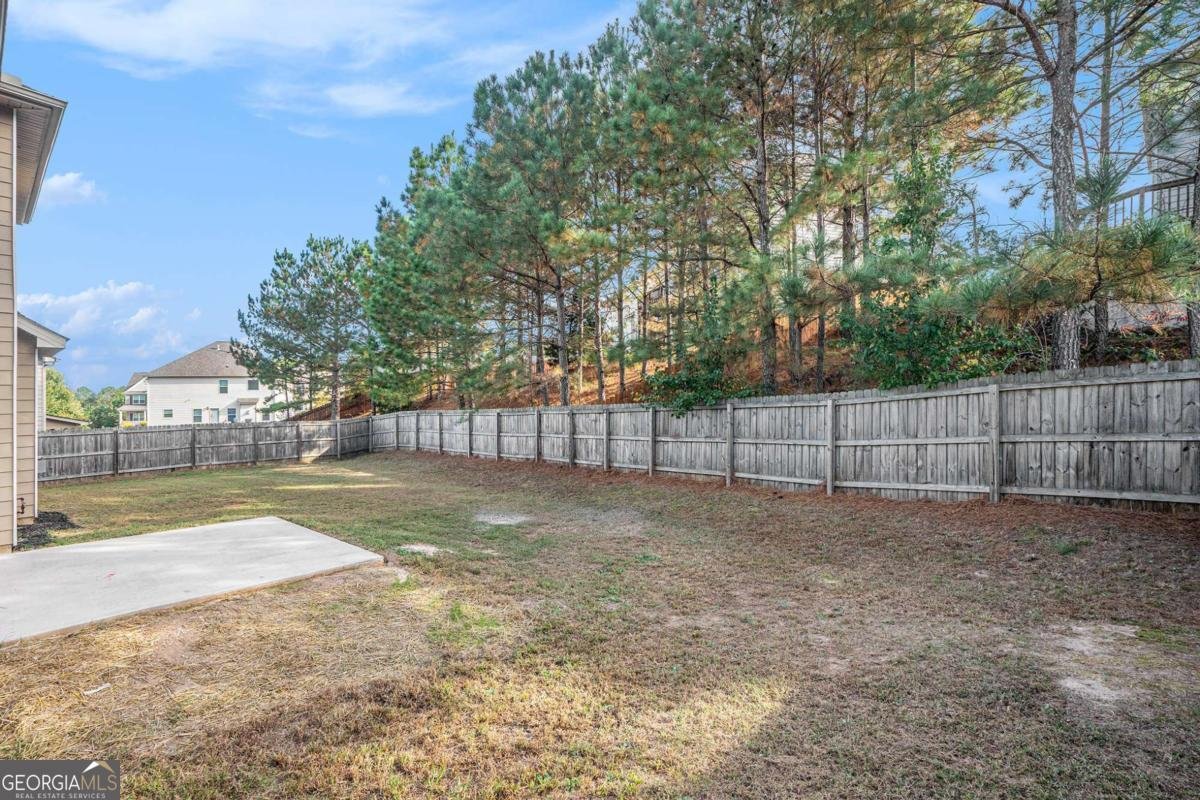 2204 Evening Mist Lane Conyers - 29