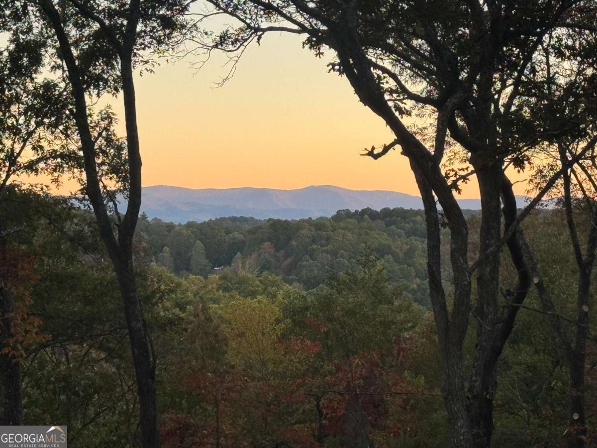 195 Wolf Creek Mountain Road Mineral Bluff - 1