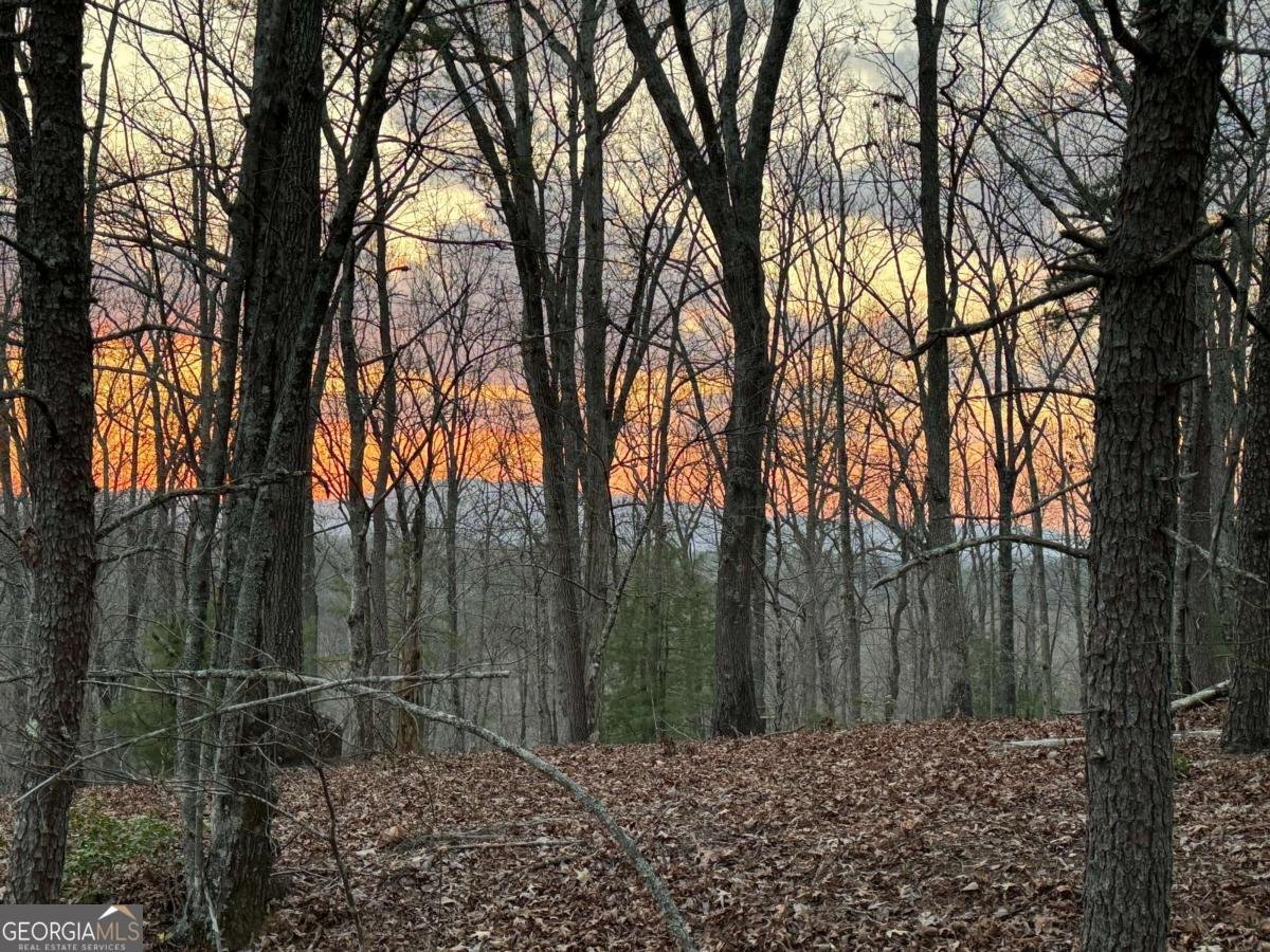 195 Wolf Creek Mountain Road Mineral Bluff - 3