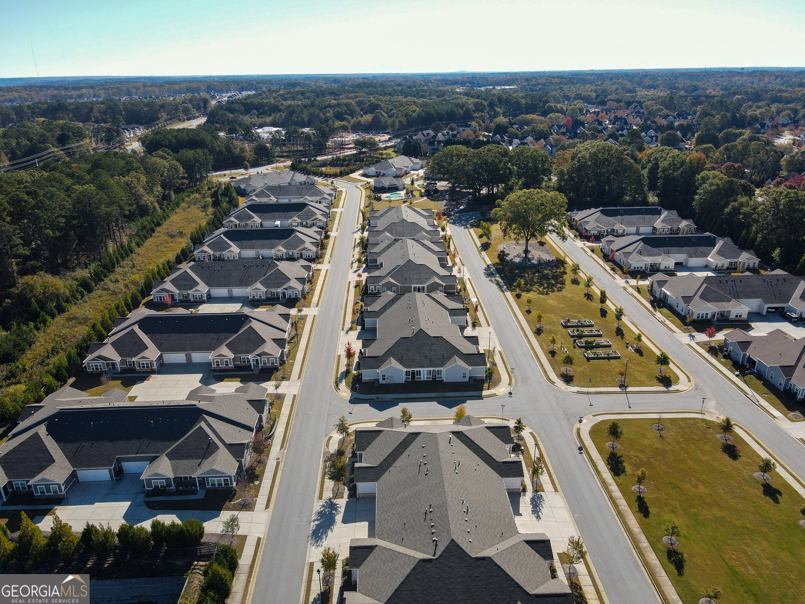 2927 RAMBLER Drive Loganville - 58