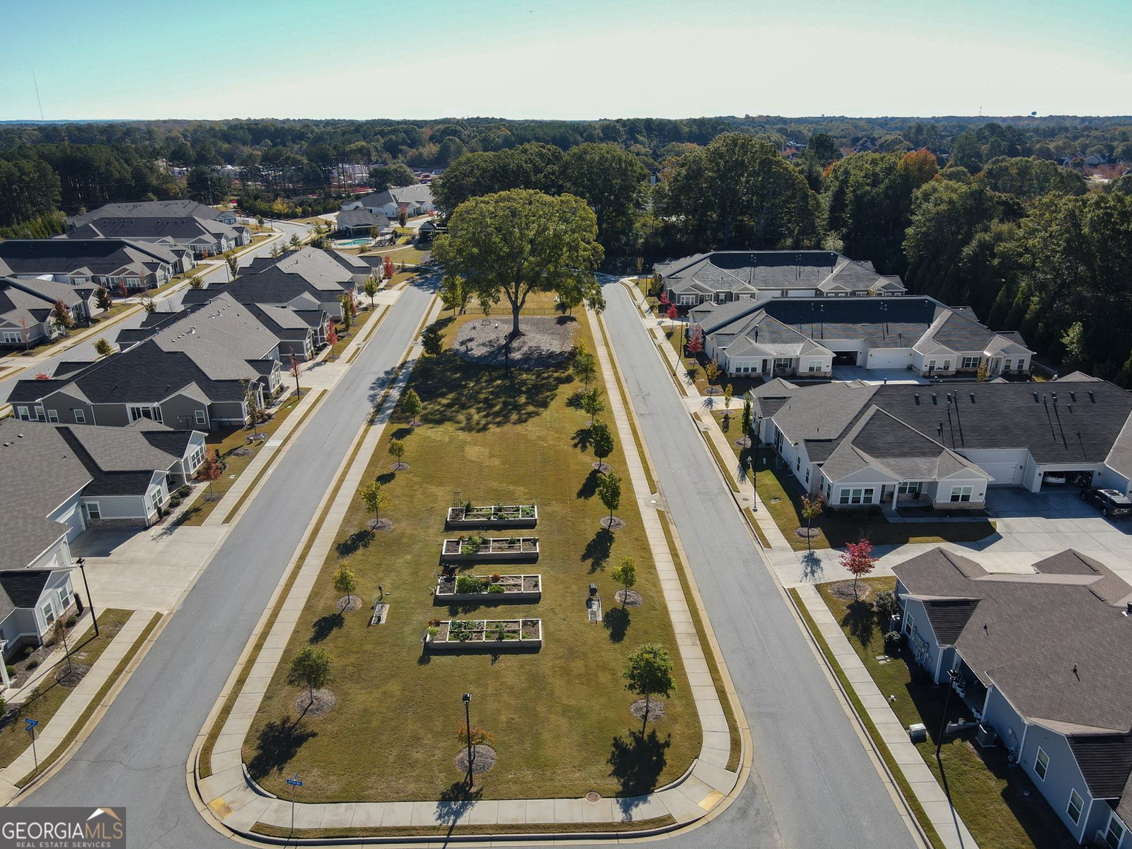 2927 RAMBLER Drive Loganville - 59