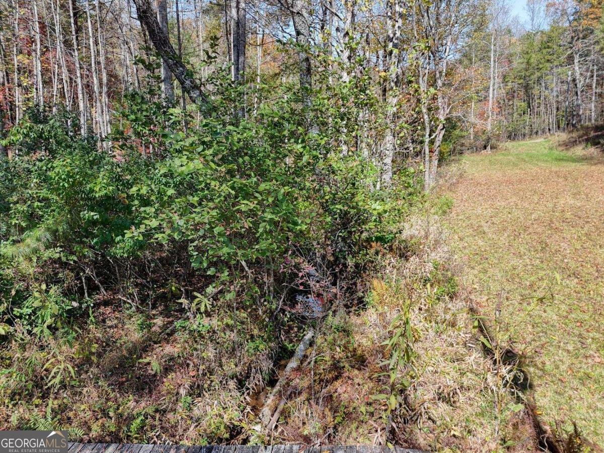 162 Mountain Top Drive Blue Ridge - 10