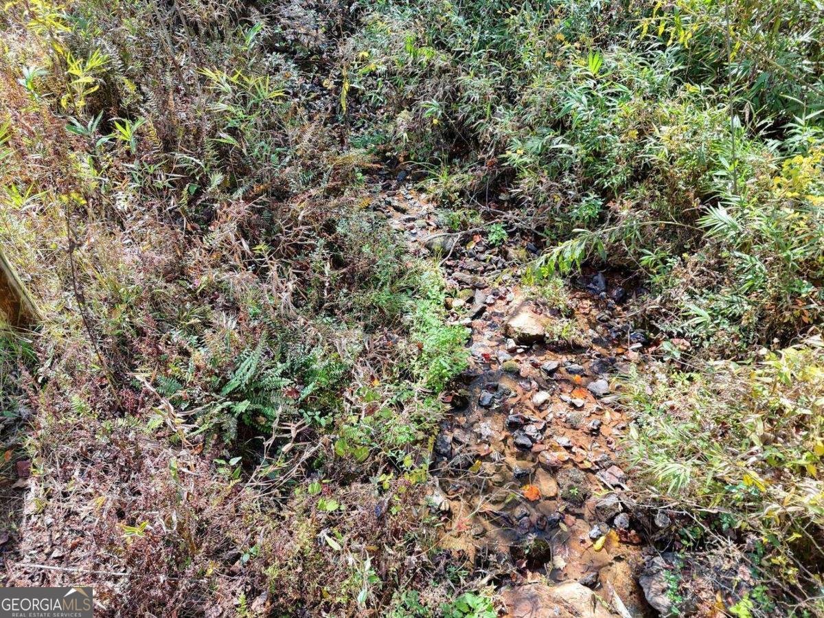 162 Mountain Top Drive Blue Ridge - 11