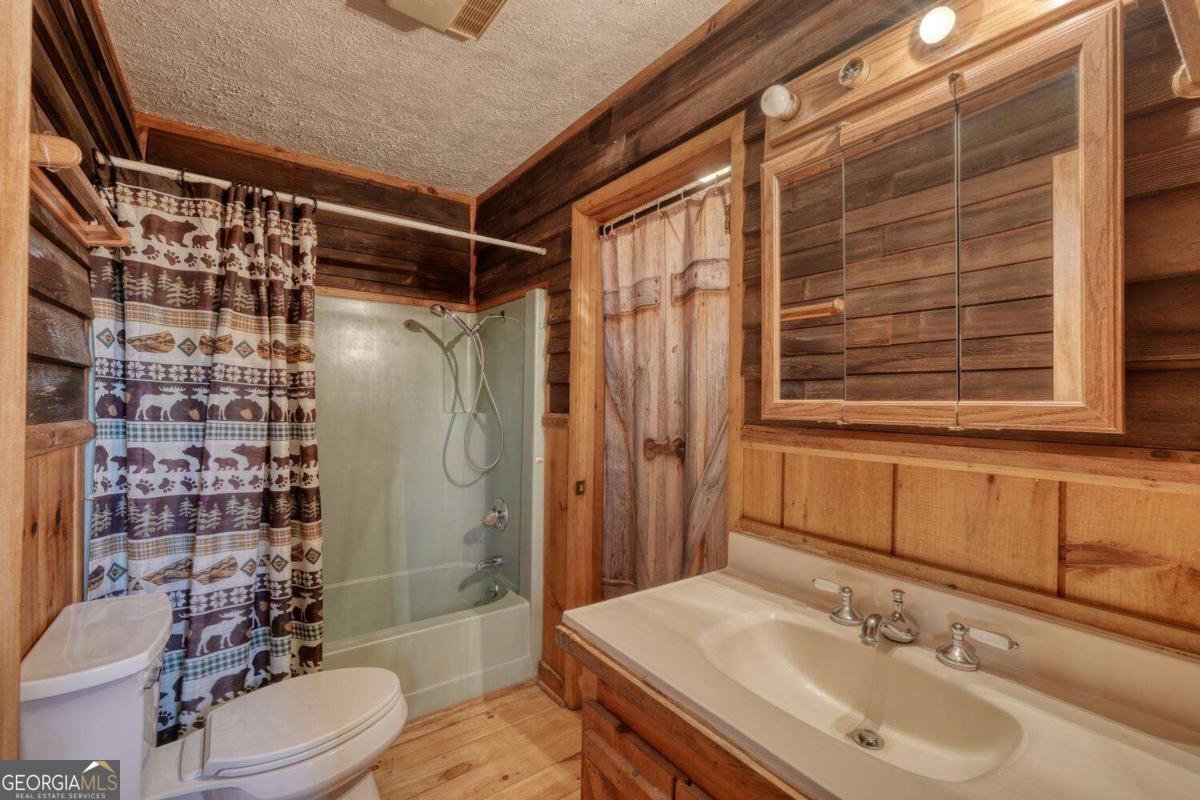 162 Mountain Top Drive Blue Ridge - 32