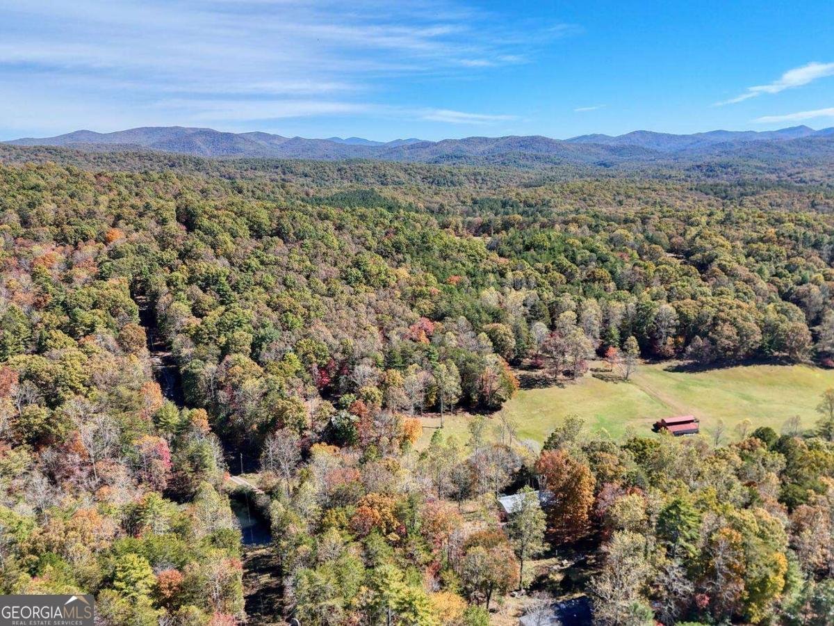 162 Mountain Top Drive Blue Ridge - 46