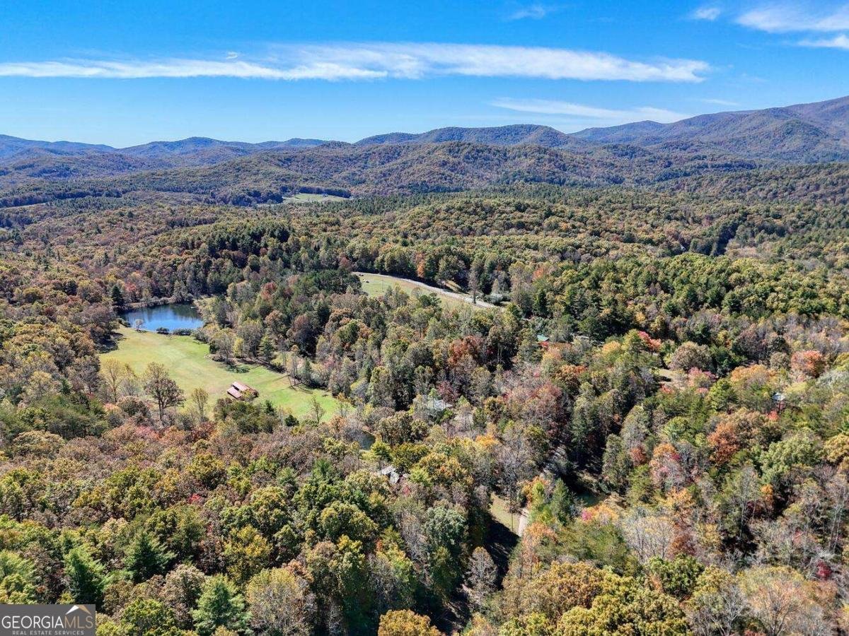 162 Mountain Top Drive Blue Ridge - 47