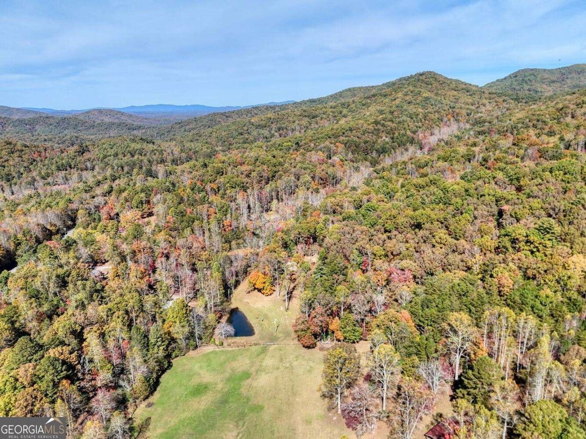 162 Mountain Top Drive Blue Ridge - 48