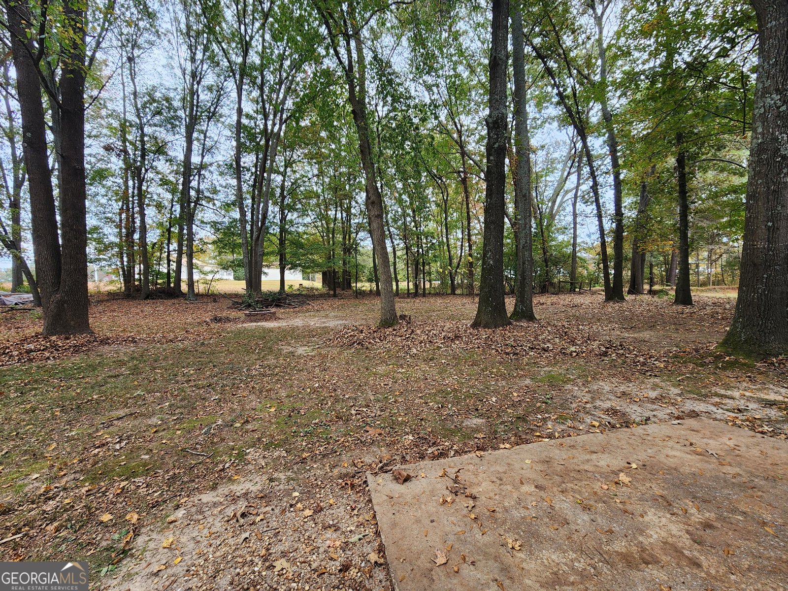 1535 Moriah Trace Auburn - 20