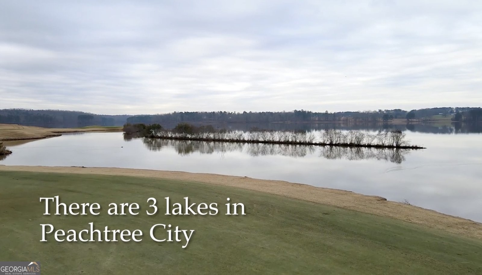 940 Laurel Brooke Avenue Peachtree City - 56