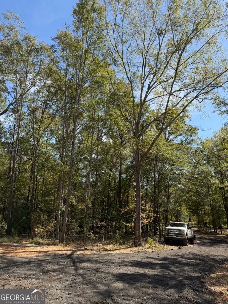 18 Three Lakes Drive Phenix - 24