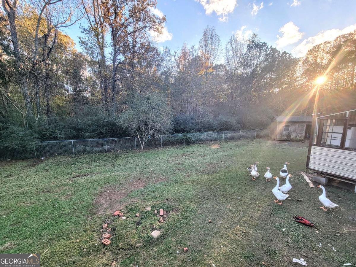 407 Earl North Road Newnan - 15