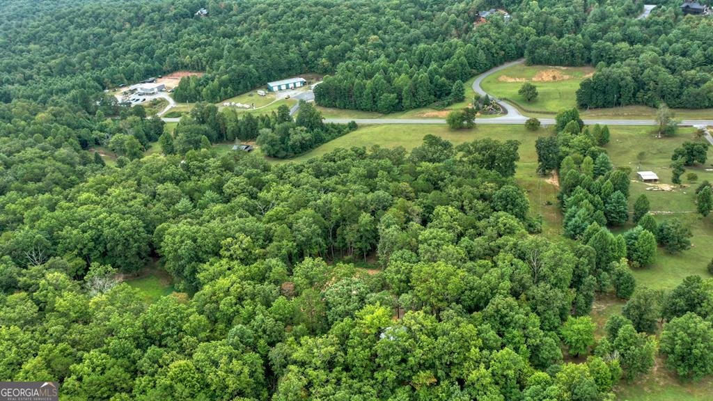 4011 Murphy Hwy Mineral Bluff - 22