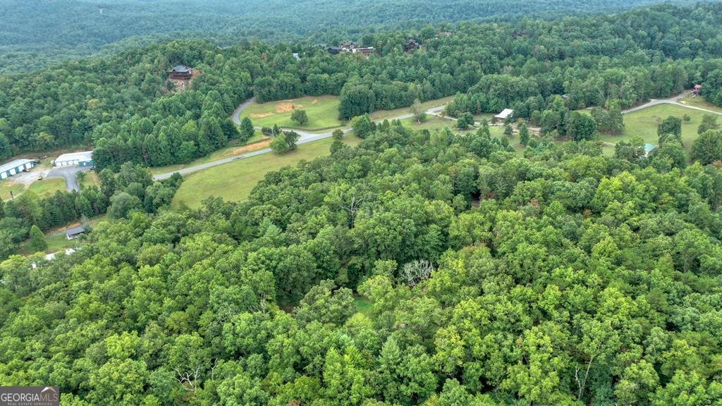 4011 Murphy Hwy Mineral Bluff - 23