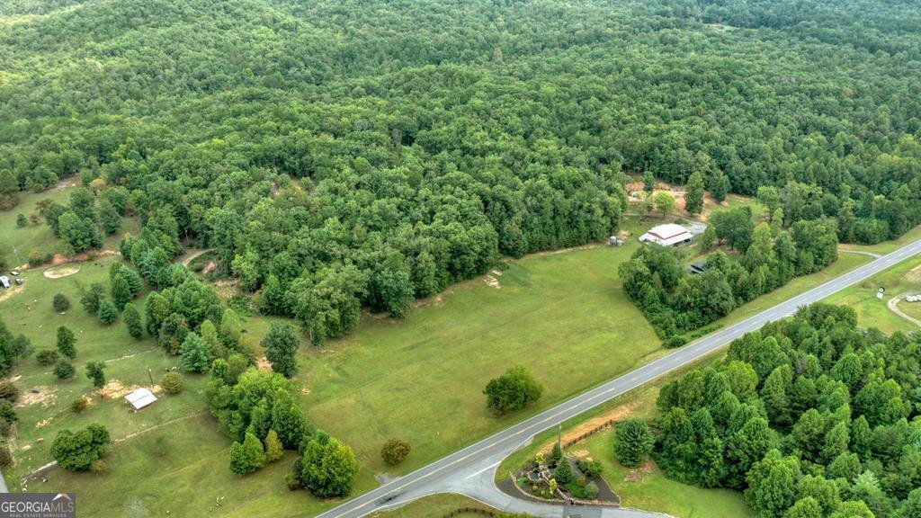 4011 Murphy Hwy Mineral Bluff - 24