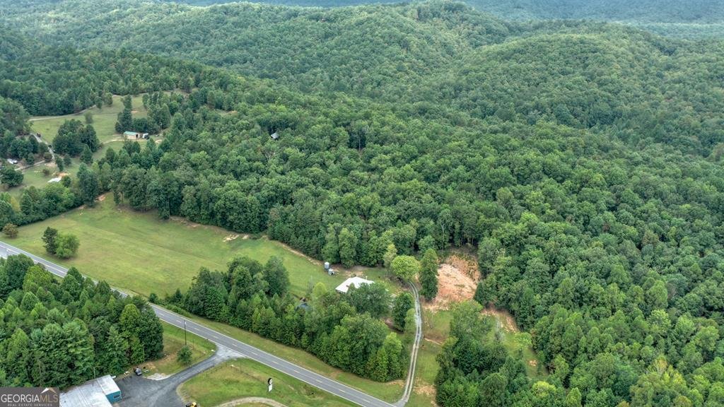 4011 Murphy Hwy Mineral Bluff - 25