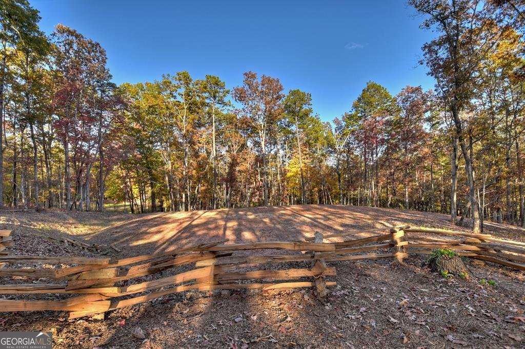 4011 Murphy Hwy Mineral Bluff - 27